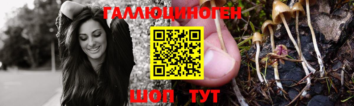 Галлюциногенные грибы мицелий  Вход с VPN  Нефтекамск 